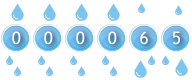 web counters